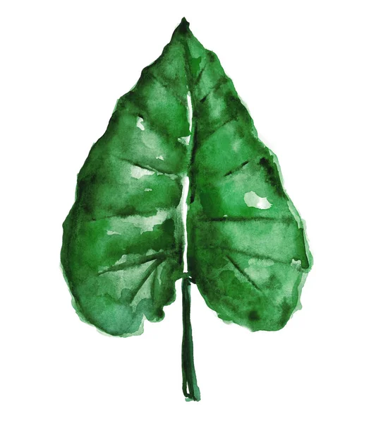 Watercolor tropical leaf — Stock Photo, Image