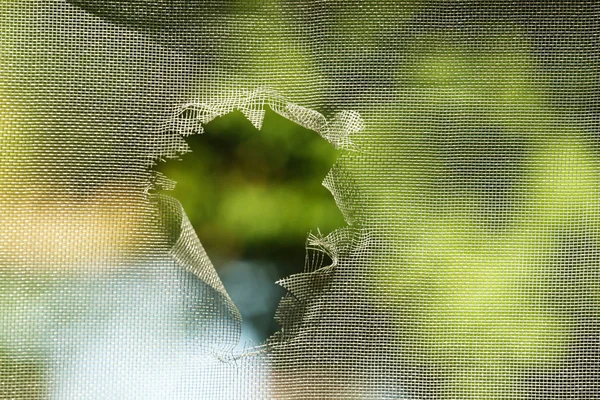 Екран комарів з отвором, крупним планом — стокове фото