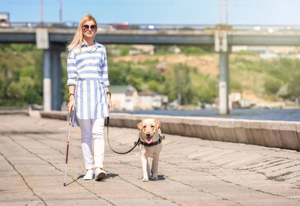 Guide dog helping blind woman on embankment