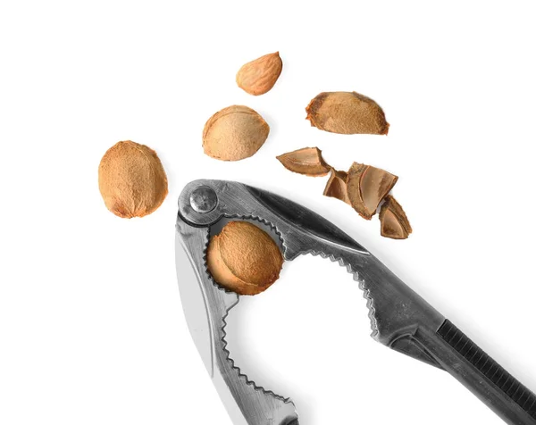 Nussknacker-Werkzeug mit Aprikosenkernen auf weißem Hintergrund — Stockfoto