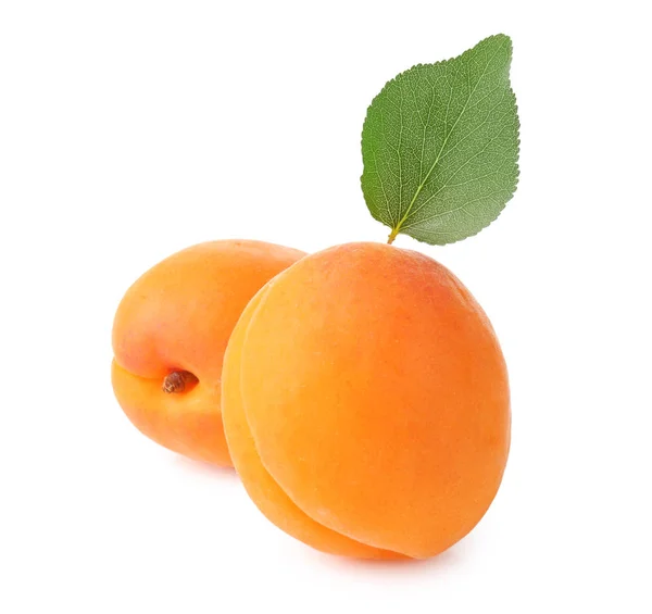 Verse abrikozen op witte achtergrond — Stockfoto