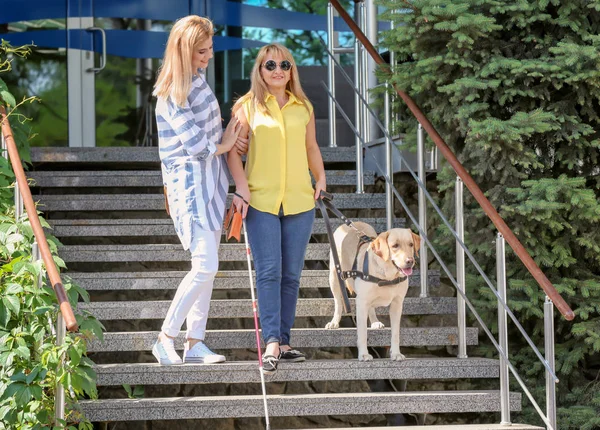 Mujeres con perro guía en las escaleras — Foto de Stock