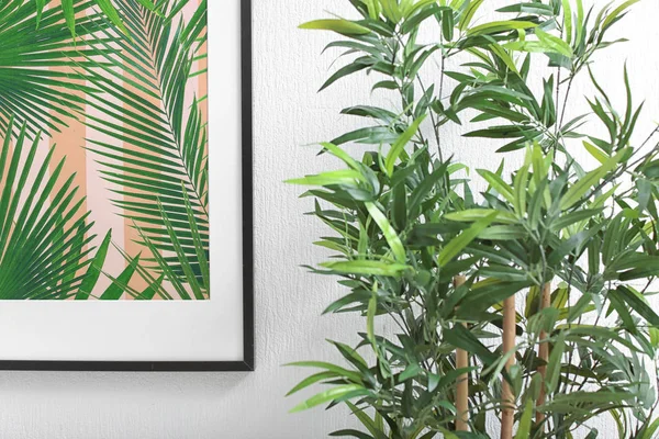 Inramade bilden av tropiska löv och krukväxt inomhus — Stockfoto