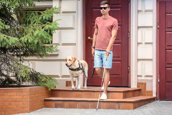 Guide dog helping blind man