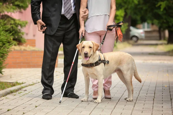 Homem e mulher cega com cão guia — Fotografia de Stock