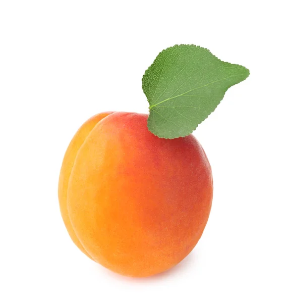 Fresh apricot on white background — Stock Photo, Image