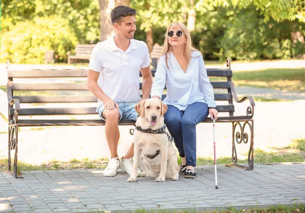 Fiatal férfi és vak nő a vakvezető kutya ül a padon a parkban — Stock Fotó