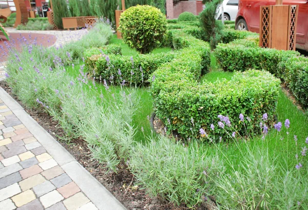 Beautiful landscaping at park — Stock Photo, Image