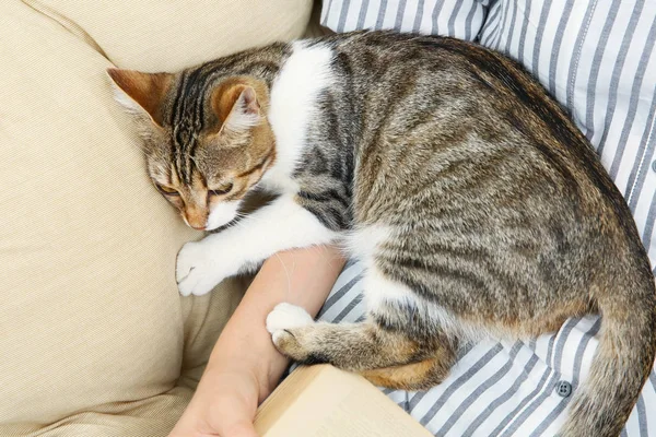 Junge schöne Frau mit Katze zu Hause — Stockfoto