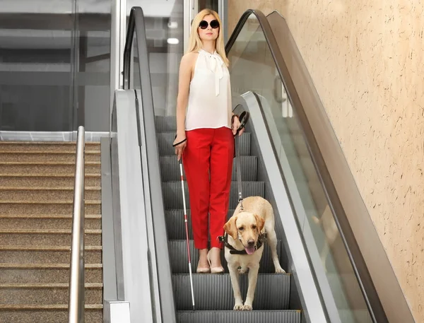 Mulher cega com cão guia na escada rolante — Fotografia de Stock