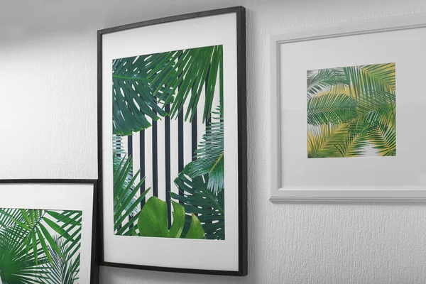 Каркасні картини тропічних листя на білій стіні — стокове фото