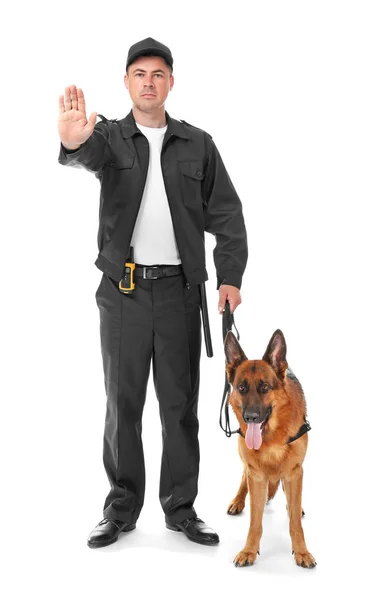 Φρουρός ασφαλείας με σκύλο σε λευκό φόντο — Φωτογραφία Αρχείου