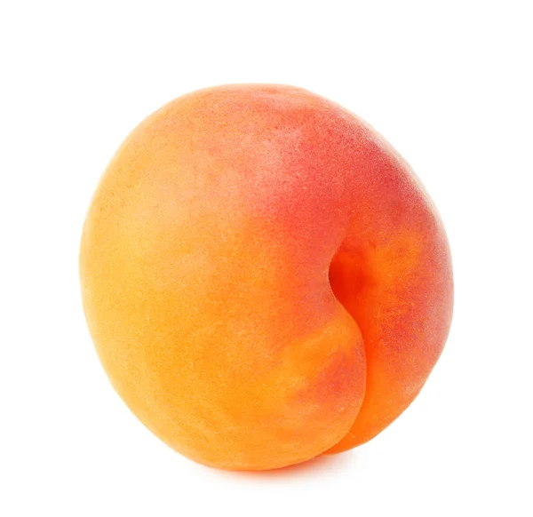 Abricot frais sur fond blanc — Photo