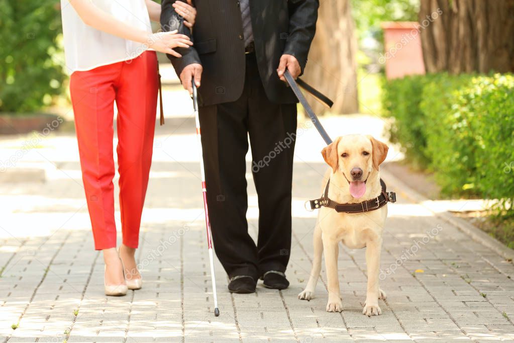 Young woman and blind man with guide dog in park