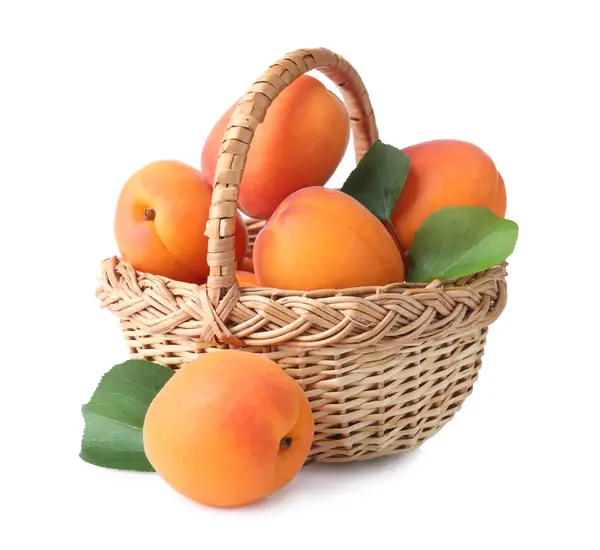 Wicker basket with fresh apricots on white background — Stock Photo, Image