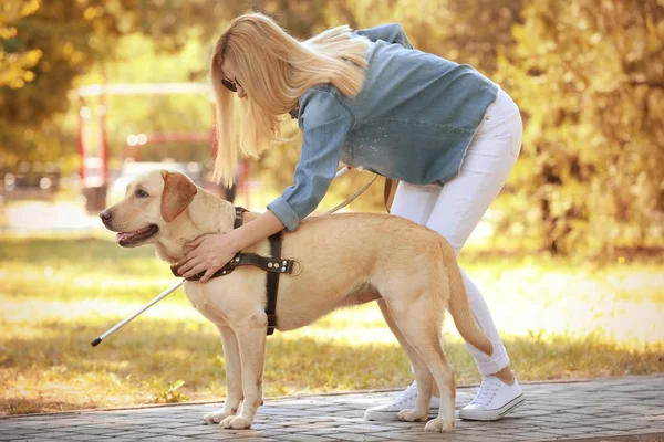 Guía perro ayudar a ciega mujer — Foto de Stock