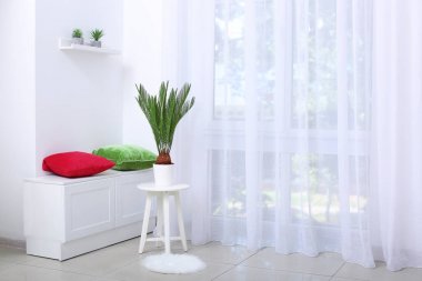 Parlak yeşil tropikal palmiye yaprakları