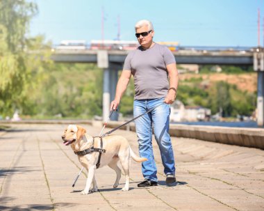 Rehber köpek dolgu üzerinde kör adam yardım