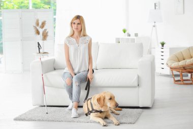 Rehber köpek evde koltukta oturan kör kadınla