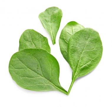 taze ıspanak yaprakları