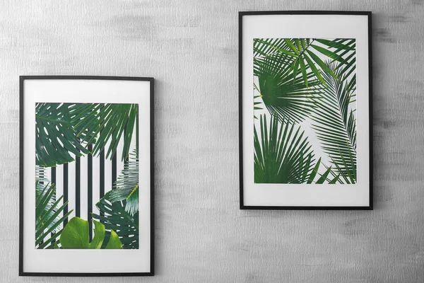 Framed pictures of tropical leaves on grey background — Stock Photo, Image