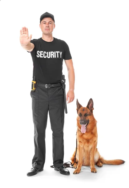 Guarda de segurança com cão no fundo branco — Fotografia de Stock