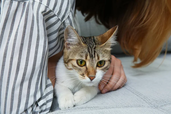 Young beautiful woman with cat at home — Stock Photo, Image