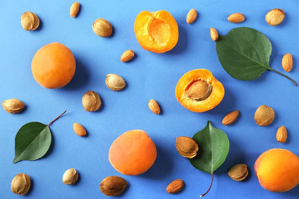 Samenstelling met abrikozen en kernels op kleur achtergrond — Stockfoto