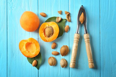 Fındıkkıran aracıyla kayısı ve çekirdekleri ahşap arka plan üzerinde