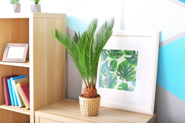 Sago palm och inramade bilden av tropiska lämnar på bokhylla i huset — Stockfoto