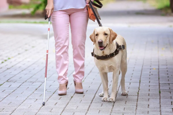 Σκύλος-οδηγός βοηθώντας τυφλή γυναίκα — Φωτογραφία Αρχείου