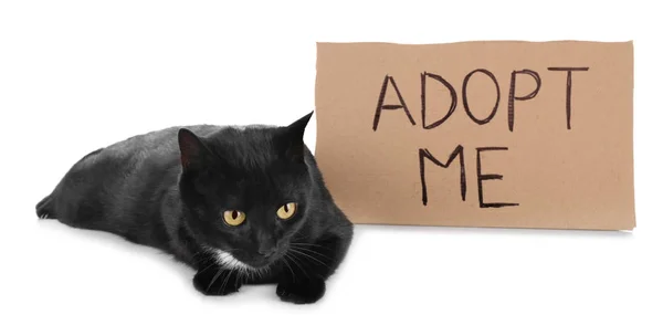 Black cat and text ADOPT ME — Stock Photo, Image