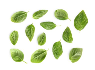 Organik taze fesleğen yaprağı 