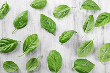 Organik taze fesleğen yaprağı 