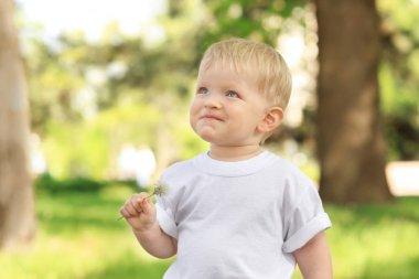 Karahindiba güneşli yeşil park içinde çocukla şirin bebek