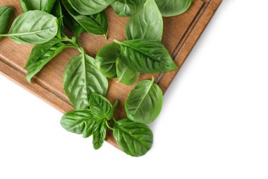 Organik taze fesleğen yaprağı 