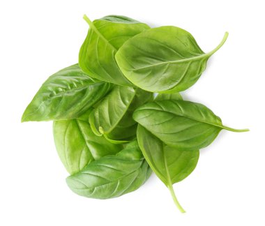 Organik taze fesleğen yaprağı 