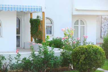 Güzel çim ile modern binanın görünümü