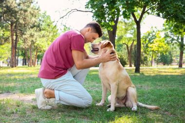 Park sarı av köpeği ile genç adam