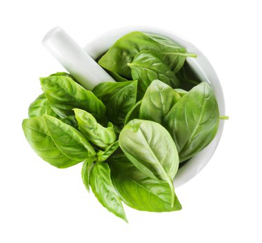 Organik taze fesleğen yaprağı 