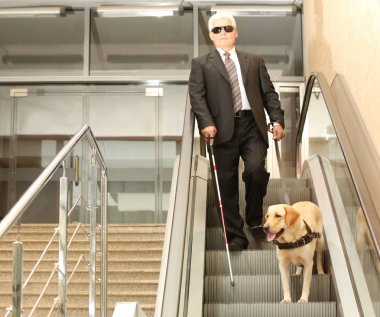 Rehber köpek yürüyen merdiven üzerinde ile kör adam