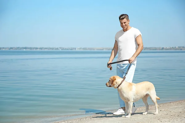 Joven hombre caminando amarillo retriever cerca del río — Foto de Stock