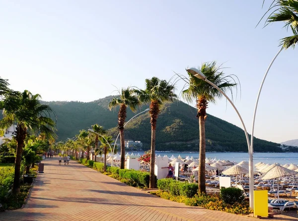 Vista de la playa con palmeras y cómodas tumbonas en el resort — Foto de Stock