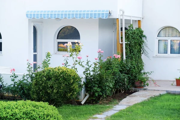 Güzel çim ile modern binanın görünümü