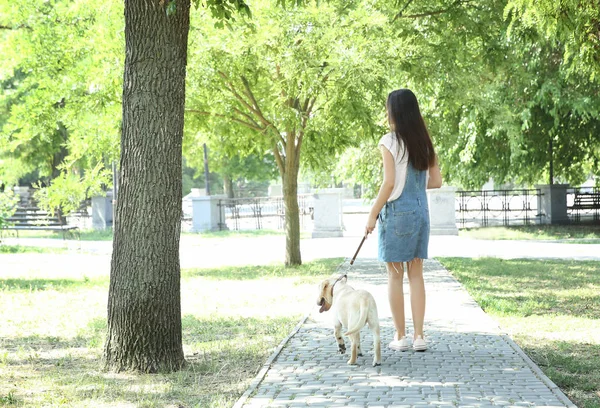 Young woman walking yellow retriever in park — Stock Photo, Image