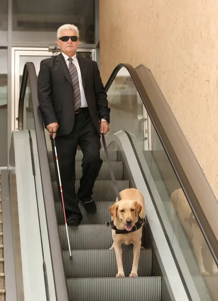 Hombre ciego con perro guía en escalera mecánica — Foto de Stock