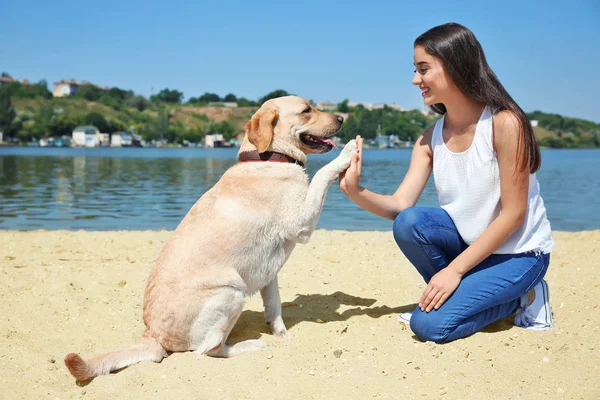 Wanita muda beristirahat dengan retriever kuning dekat sungai — Stok Foto