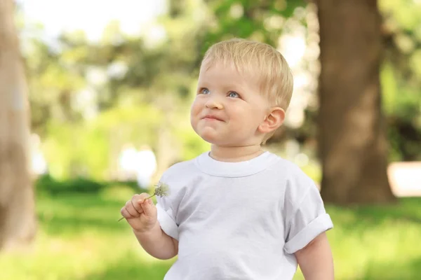Bayi laki-laki lucu dengan dandelion di taman hijau pada hari yang cerah — Stok Foto
