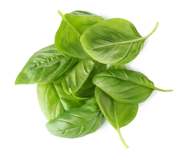 Fresh organic basil leaves — Stock Photo, Image