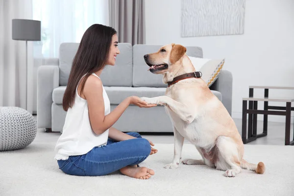 Mujer joven descansando con amarillo retriever en casa — Foto de Stock